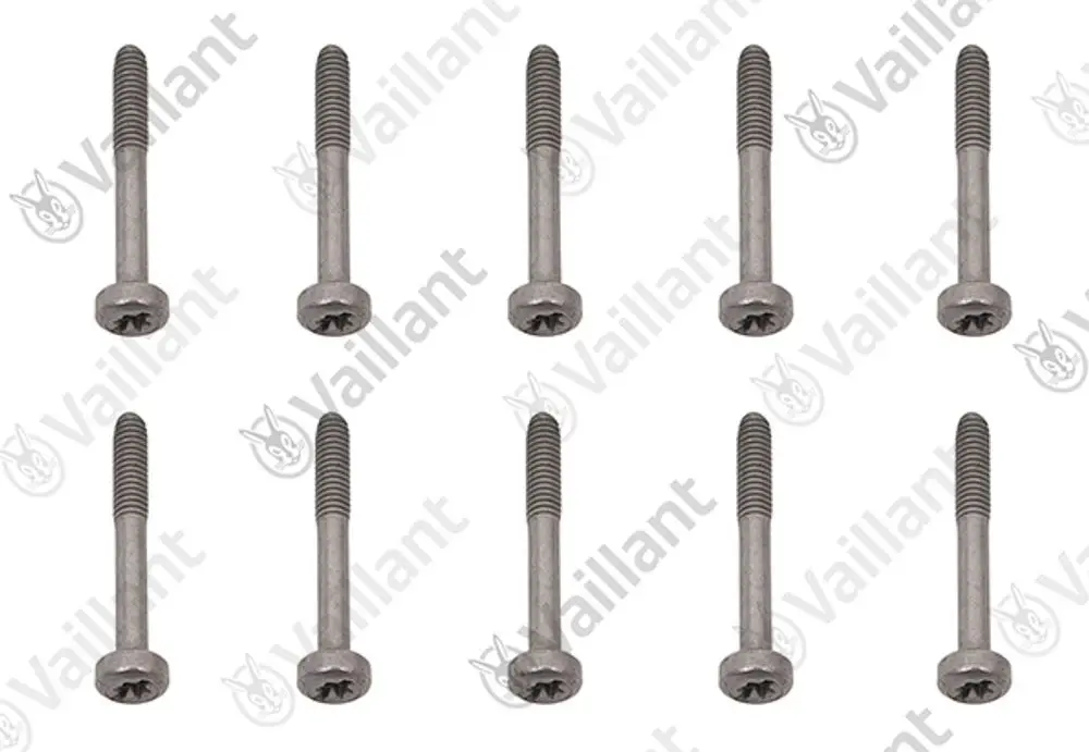 Zehn Vaillant Schrauben in neutralem Design, mit einem Gewinde und einem glatten Kopf, auf hellem Hintergrund.